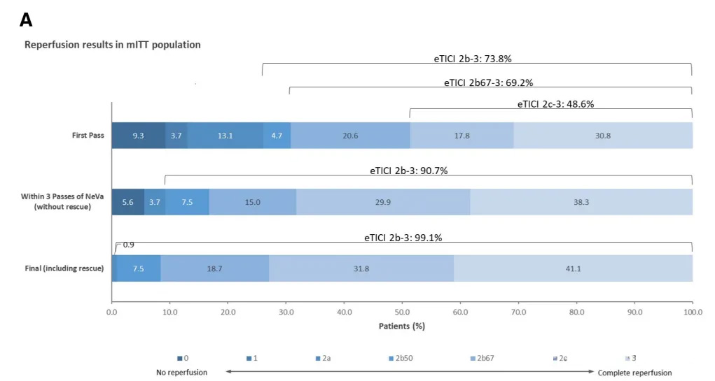  Reperfusions-Ergebnisse in der miTT-Population